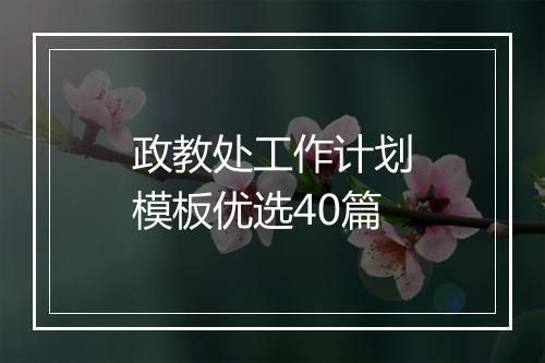 政教处工作计划模板优选40篇