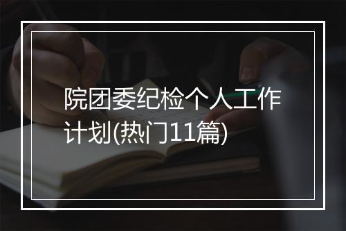 院团委纪检个人工作计划(热门11篇)