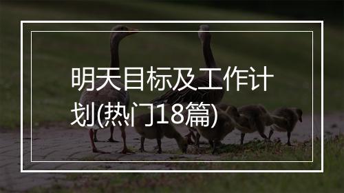 明天目标及工作计划(热门18篇)