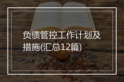 负债管控工作计划及措施(汇总12篇)