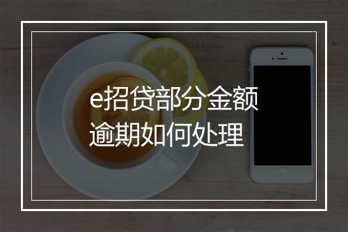 e招贷部分金额逾期如何处理