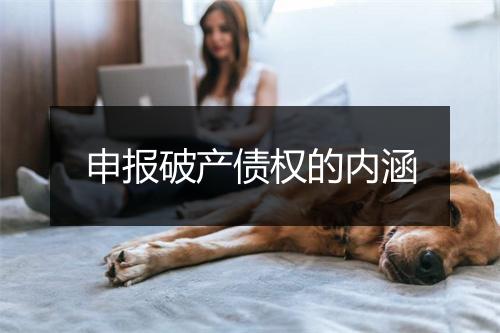 申报破产债权的内涵