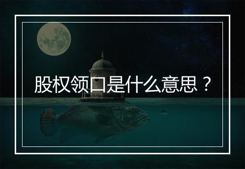 股权领口是什么意思？
