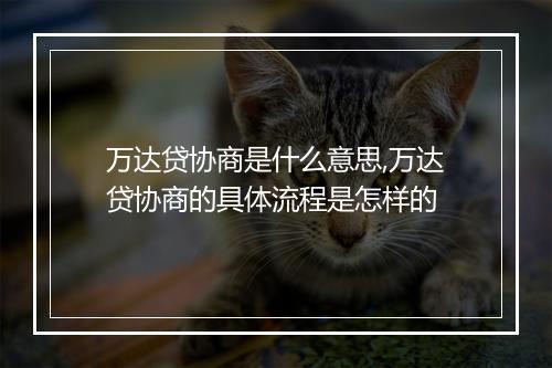 万达贷协商是什么意思,万达贷协商的具体流程是怎样的