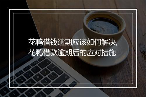 花鸭借钱逾期应该如何解决,花鸭借款逾期后的应对措施