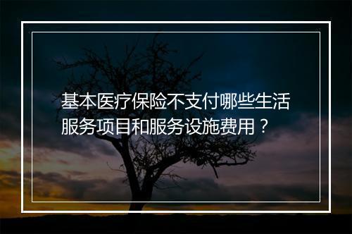 基本医疗保险不支付哪些生活服务项目和服务设施费用？
