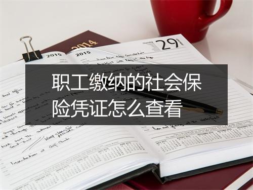 职工缴纳的社会保险凭证怎么查看