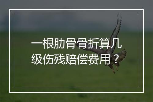 一根肋骨骨折算几级伤残赔偿费用？