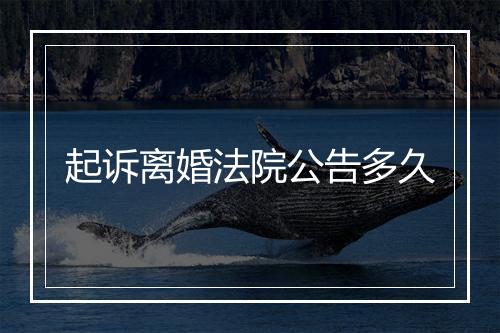起诉离婚法院公告多久