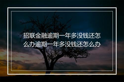招联金融逾期一年多没钱还怎么办逾期一年多没钱还怎么办