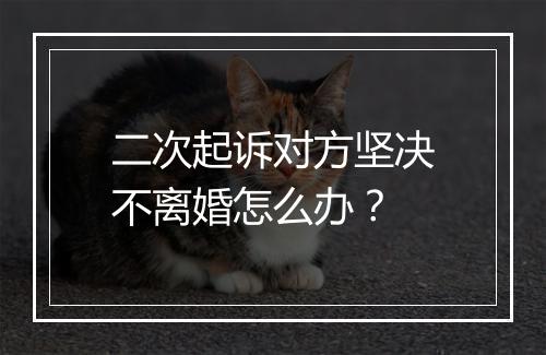 二次起诉对方坚决不离婚怎么办？