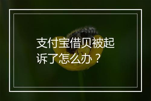 支付宝借贝被起诉了怎么办？