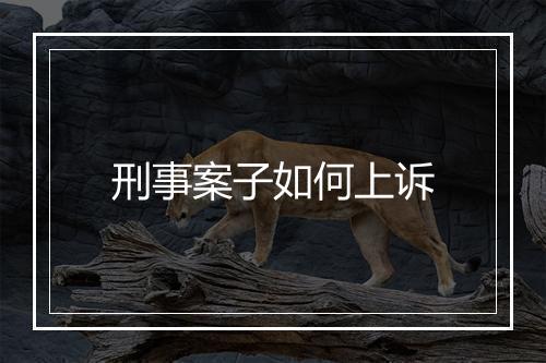 刑事案子如何上诉