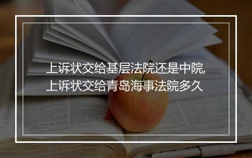 上诉状交给基层法院还是中院,上诉状交给青岛海事法院多久