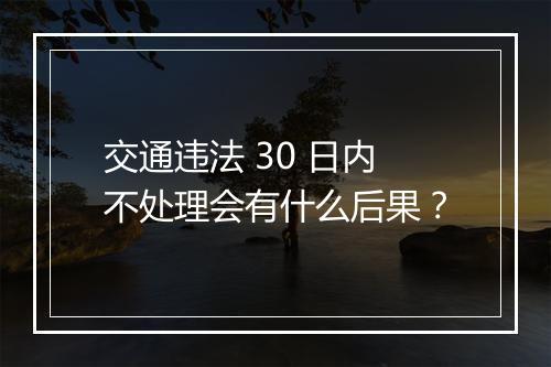 交通违法 30 日内不处理会有什么后果？