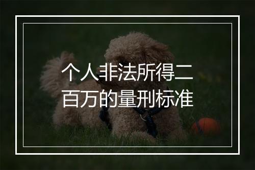 个人非法所得二百万的量刑标准