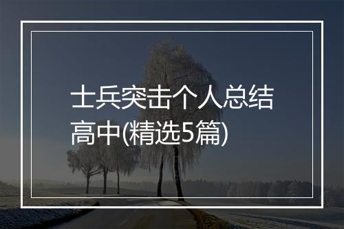 士兵突击个人总结高中(精选5篇)
