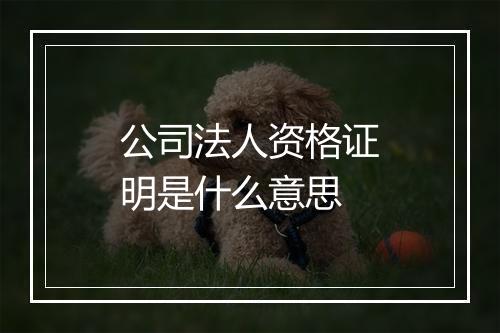 公司法人资格证明是什么意思