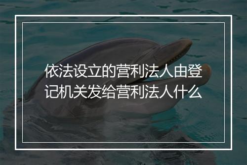依法设立的营利法人由登记机关发给营利法人什么