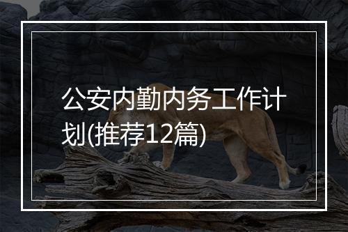 公安内勤内务工作计划(推荐12篇)