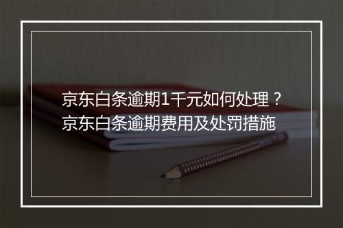 京东白条逾期1千元如何处理？京东白条逾期费用及处罚措施