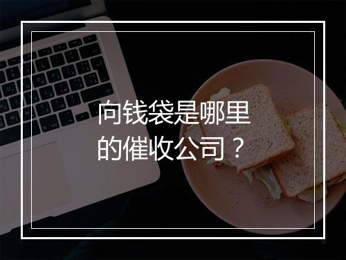 向钱袋是哪里的催收公司？