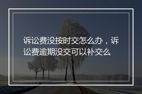 诉讼费没按时交怎么办，诉讼费逾期没交可以补交么