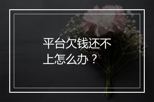 平台欠钱还不上怎么办？