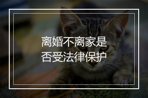 离婚不离家是否受法律保护