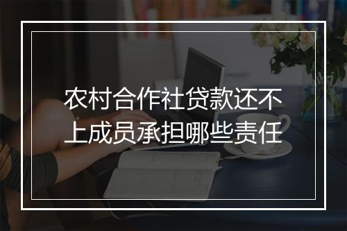 农村合作社贷款还不上成员承担哪些责任