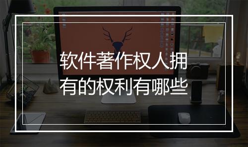 软件著作权人拥有的权利有哪些