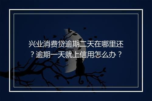 兴业消费贷逾期二天在哪里还？逾期一天就上信用怎么办？