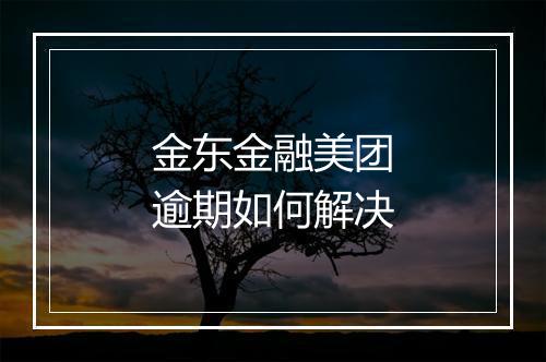 金东金融美团逾期如何解决