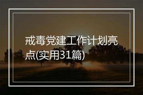 戒毒党建工作计划亮点(实用31篇)