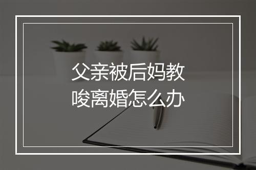 父亲被后妈教唆离婚怎么办