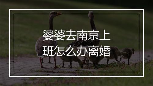 婆婆去南京上班怎么办离婚