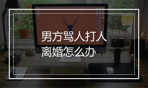 男方骂人打人离婚怎么办