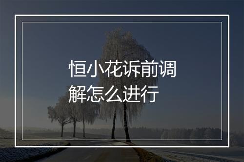 恒小花诉前调解怎么进行
