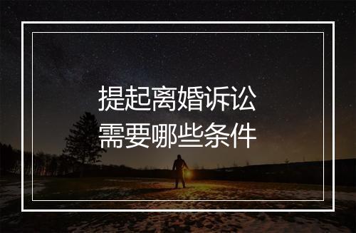 提起离婚诉讼需要哪些条件