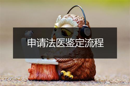 申请法医鉴定流程