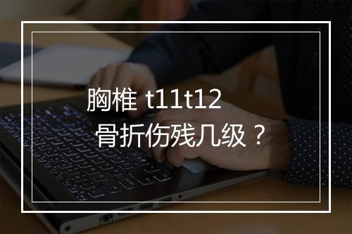 胸椎 t11t12 骨折伤残几级？