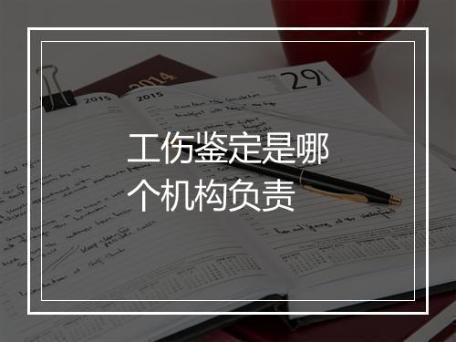 工伤鉴定是哪个机构负责