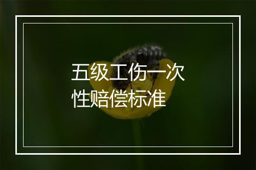 五级工伤一次性赔偿标准
