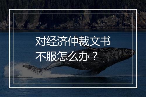 对经济仲裁文书不服怎么办？