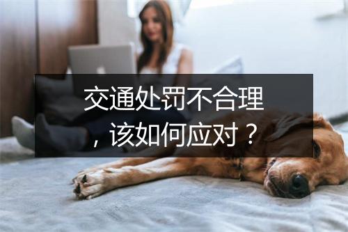 交通处罚不合理，该如何应对？