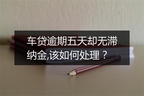 车贷逾期五天却无滞纳金,该如何处理？