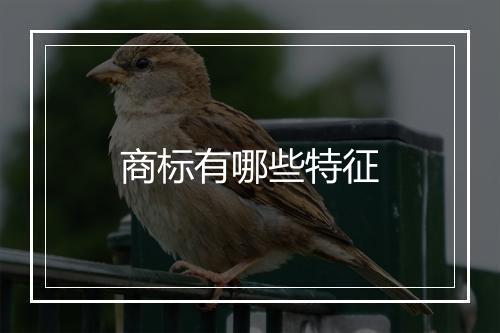 商标有哪些特征