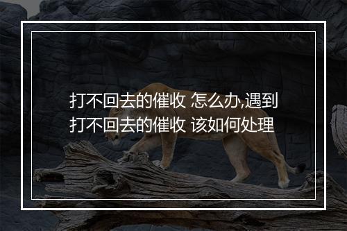 打不回去的催收 怎么办,遇到打不回去的催收 该如何处理