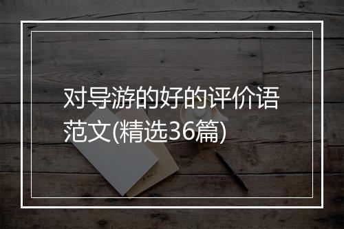 对导游的好的评价语范文(精选36篇)