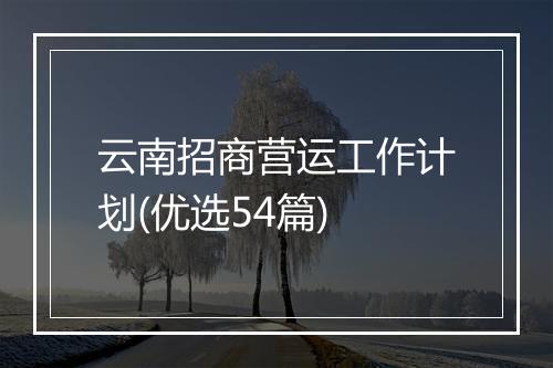 云南招商营运工作计划(优选54篇)
